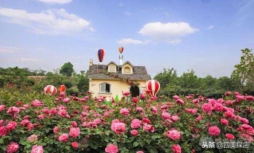 仁和春天光华店205折买珠宝真的吗,成都仁和春天百货光华店