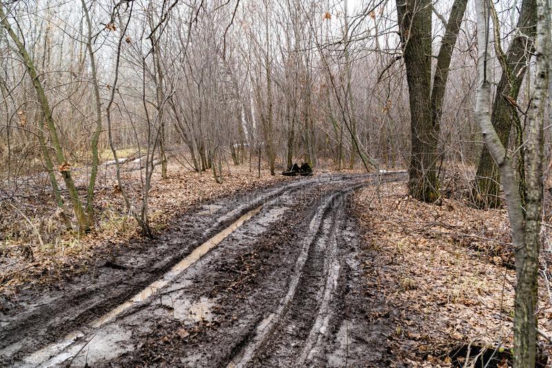 假如真相是偷换,三石准备怎么办?