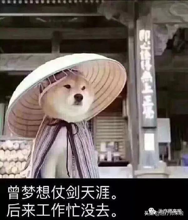 康复之路漫漫长路,康复十年胃病又犯了