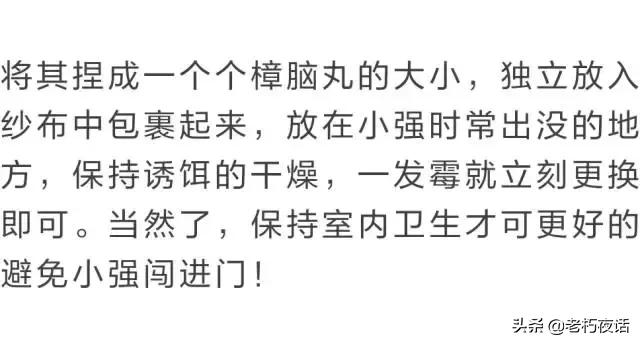 十种驱蟑螂的有效方法,驱虫药驱蟑螂真的有效吗