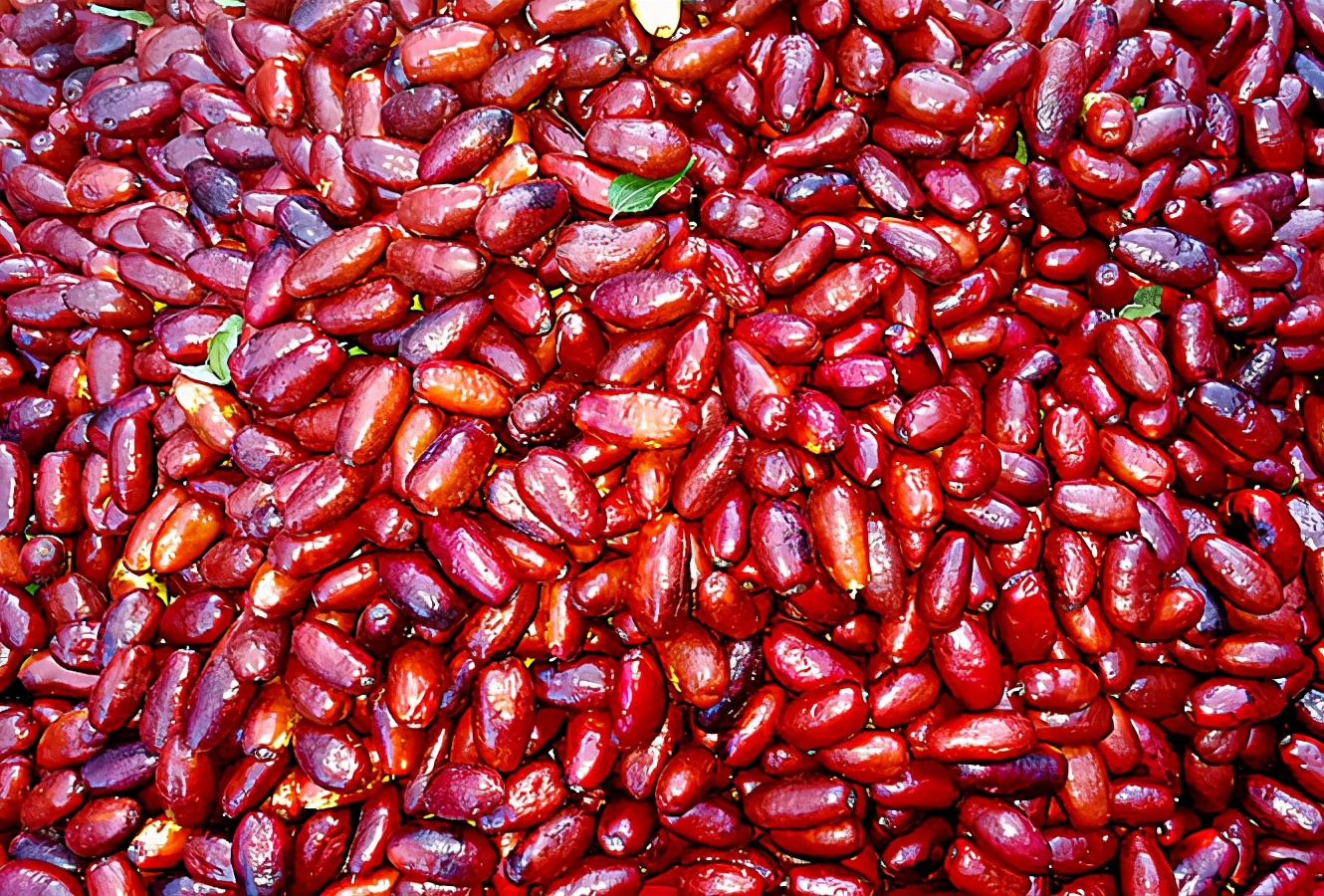 宁夏沙瓤瓜怎么挑,宁夏的灵武长枣和硒砂瓜哪个出名