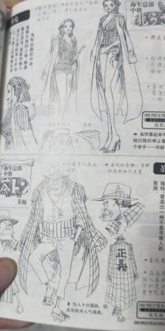 海贼王书籍选择 (海贼王书籍排名)