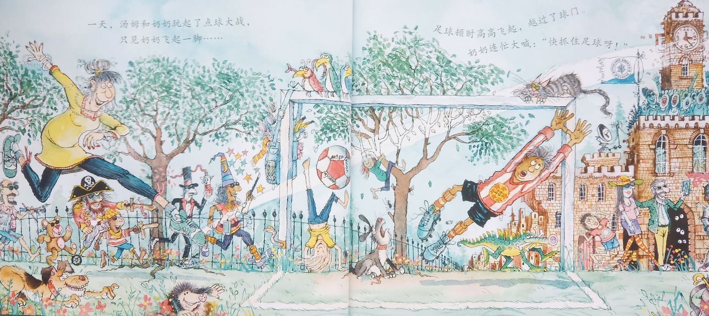 与足球有关的绘本,《神奇的足球》绘本