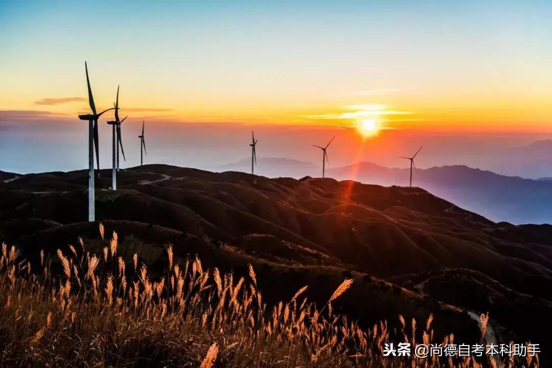 他只有初中文凭却成为数学家,他只有中专学历却逆袭成为博士