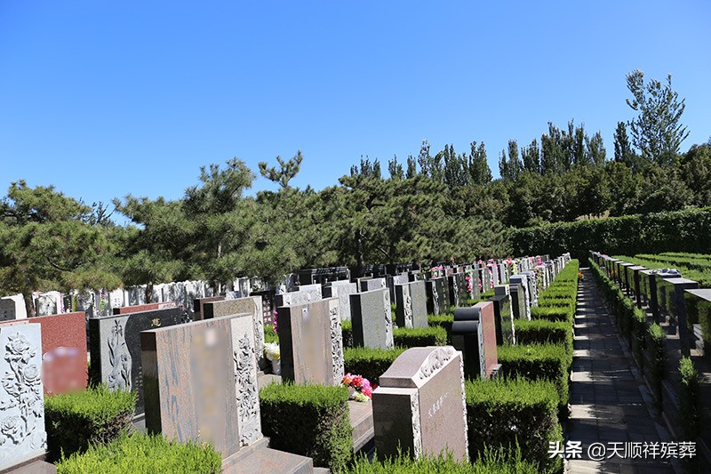 现在买个墓地需要多少钱？墓地价格会一直上涨吗？