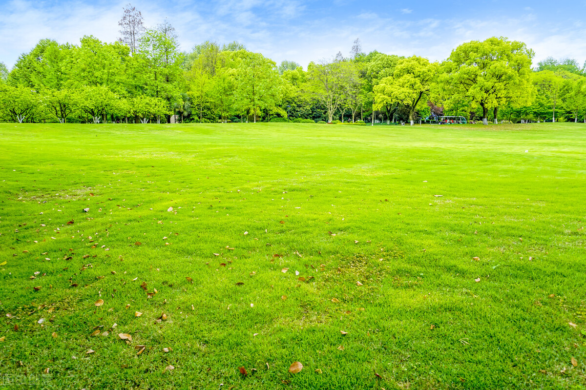 微小说意料,微小说意外的休妻