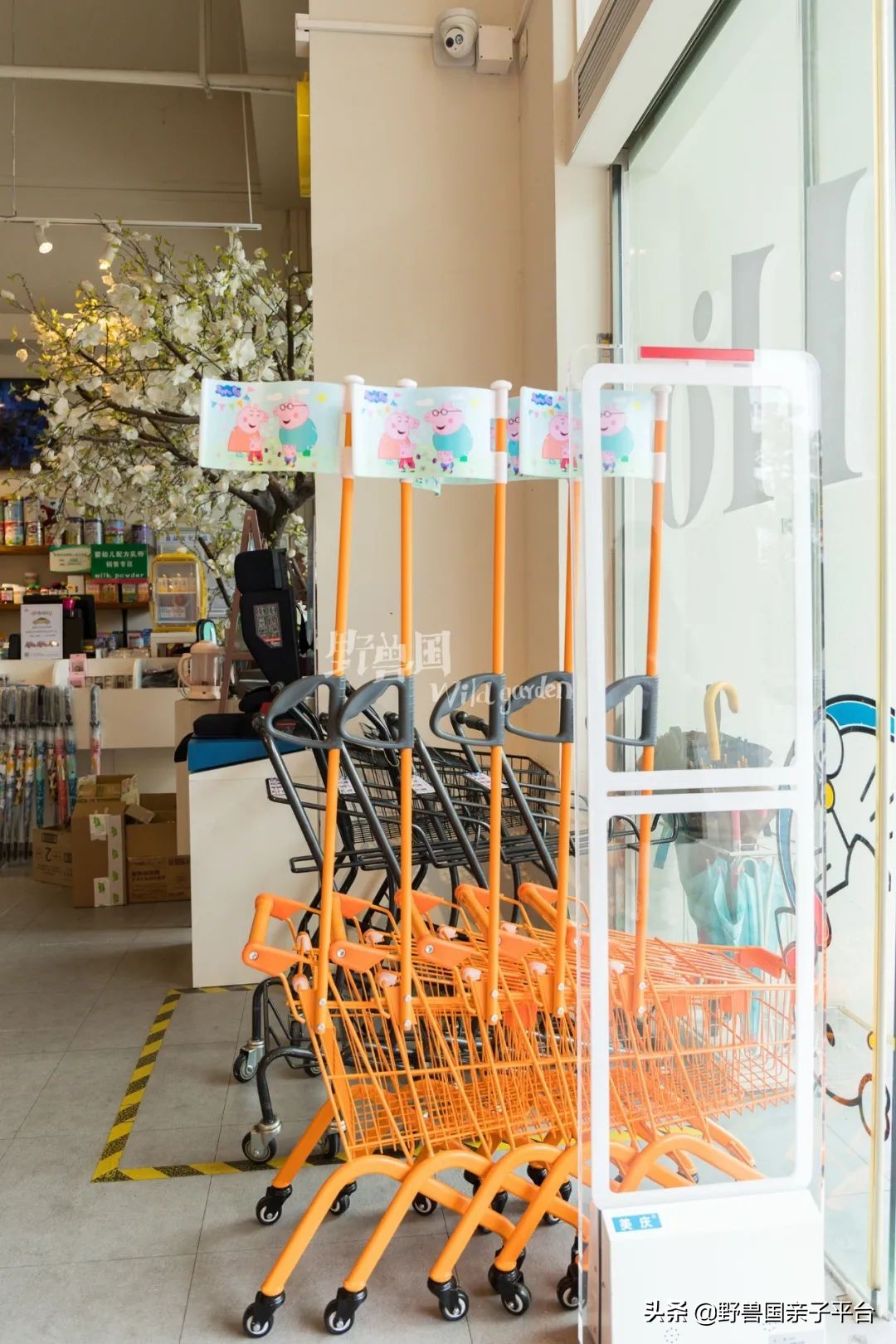 和神兽和平相处,和神兽一起生活是什么感受