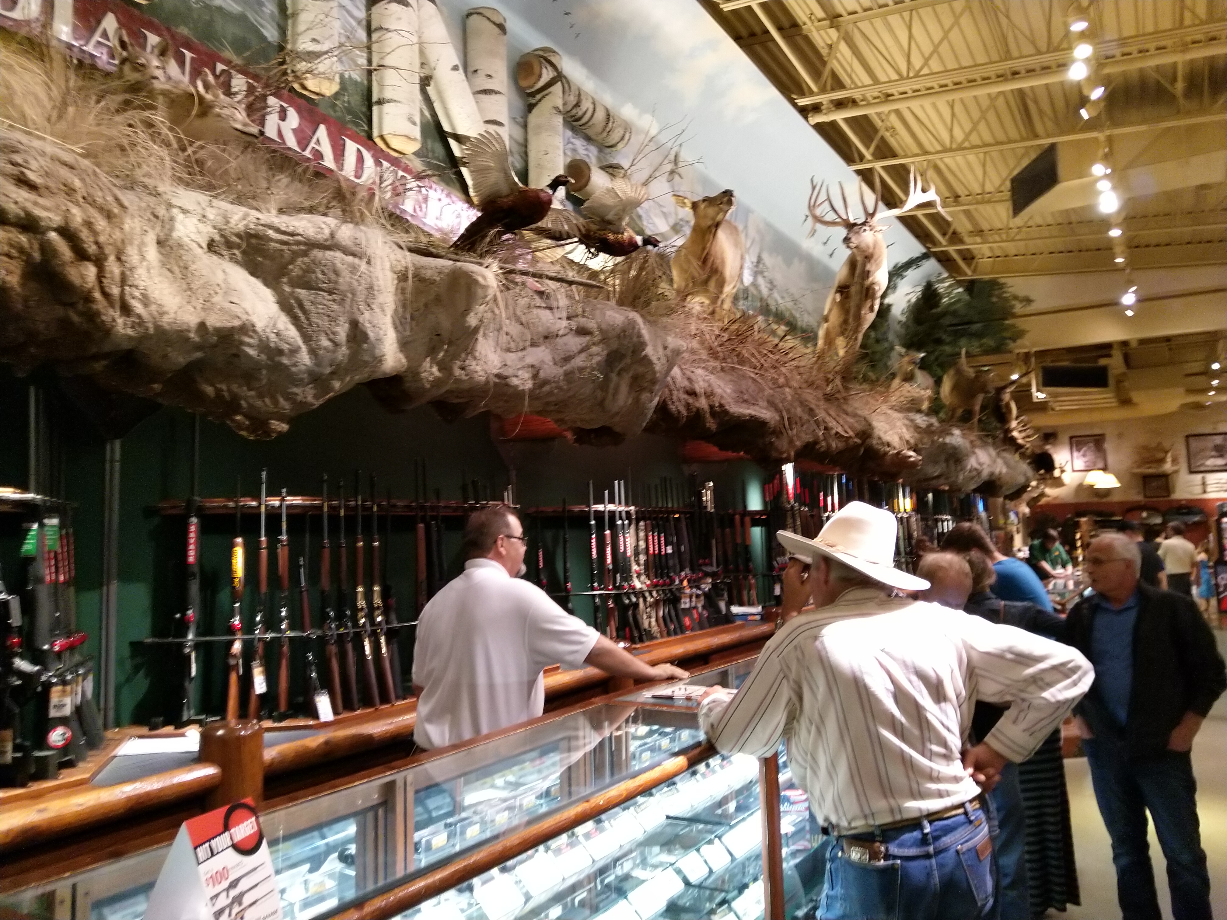 加拿大自驾攻略大全最新,加拿大西北四省自驾游