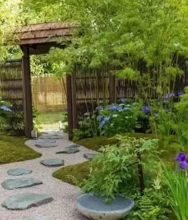 禅意庭院一定要用苔藓吗,禅意苔藓微景观制作视频