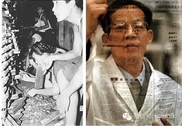 袁隆平研究杂交水稻过程,杂交水稻研究进程表