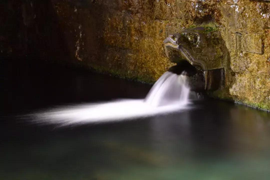 前方高能预警,前方高能预警有多高能