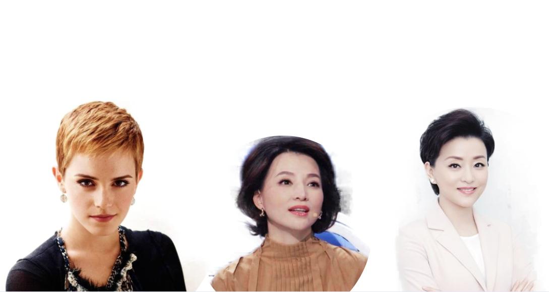 古典风格和优雅型风格的区别,风格中式分析