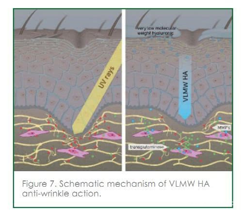 用胶原蛋白抗衰老抗皱纹面膜好吗,用玻尿酸面膜副作用有哪些
