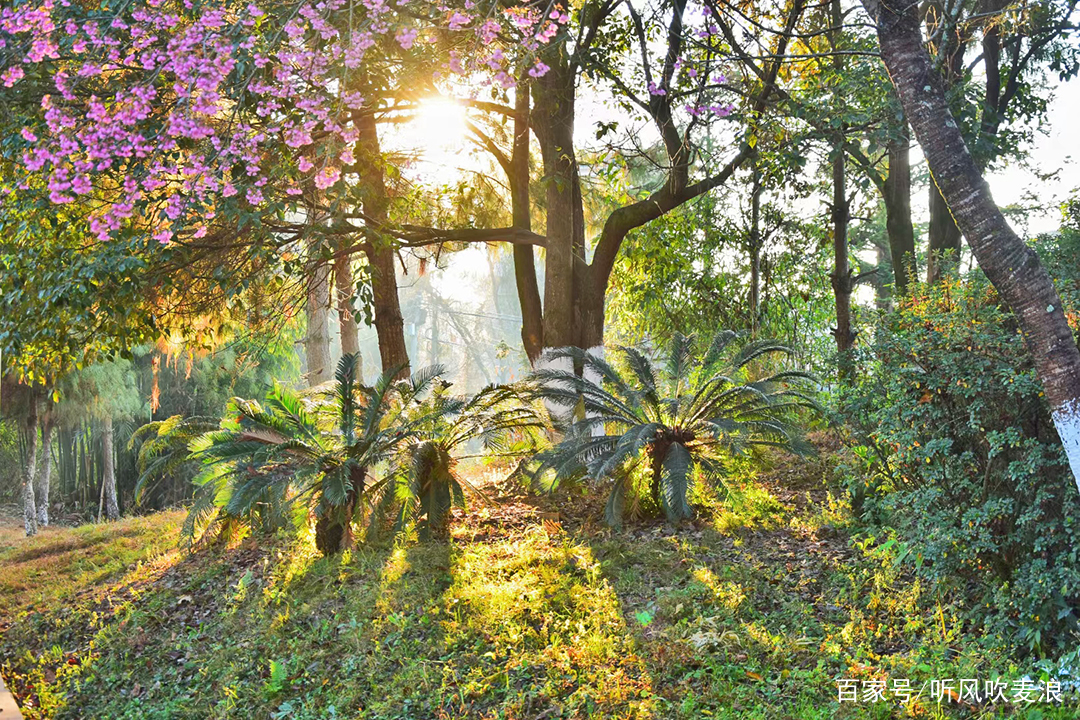 昌宁冬雾,昌宁雪花