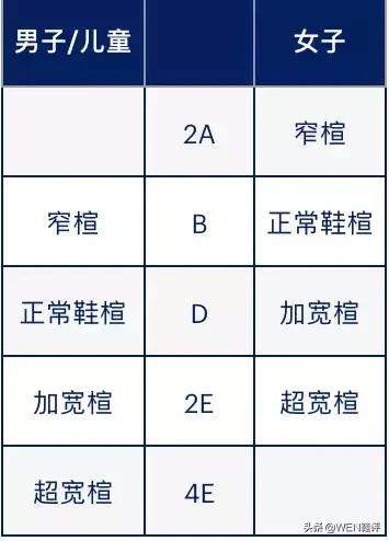 干货来了知识点有哪些,新手入门穿什么球鞋最好