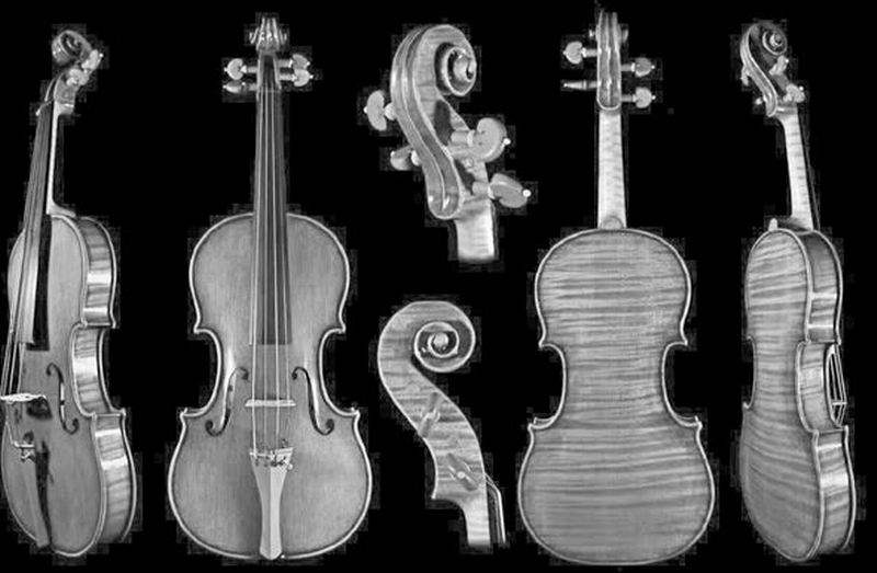 对的木头遇到对的时代