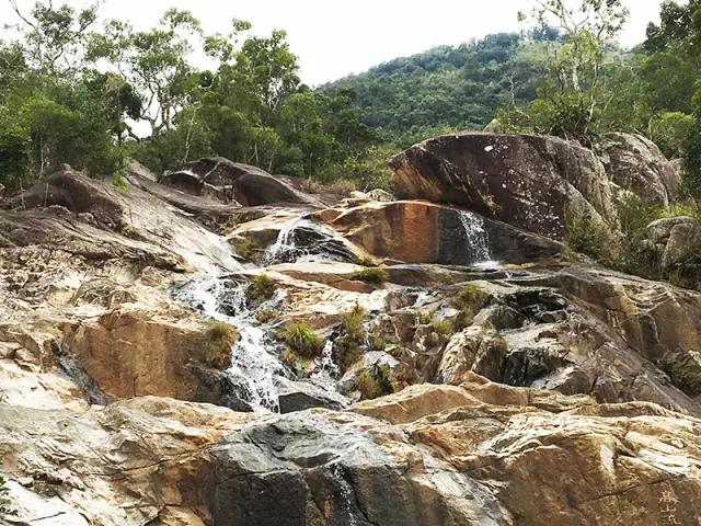 昌江原生态热带雨林森林秘境,海南万宁一个被大自然宠爱的地方