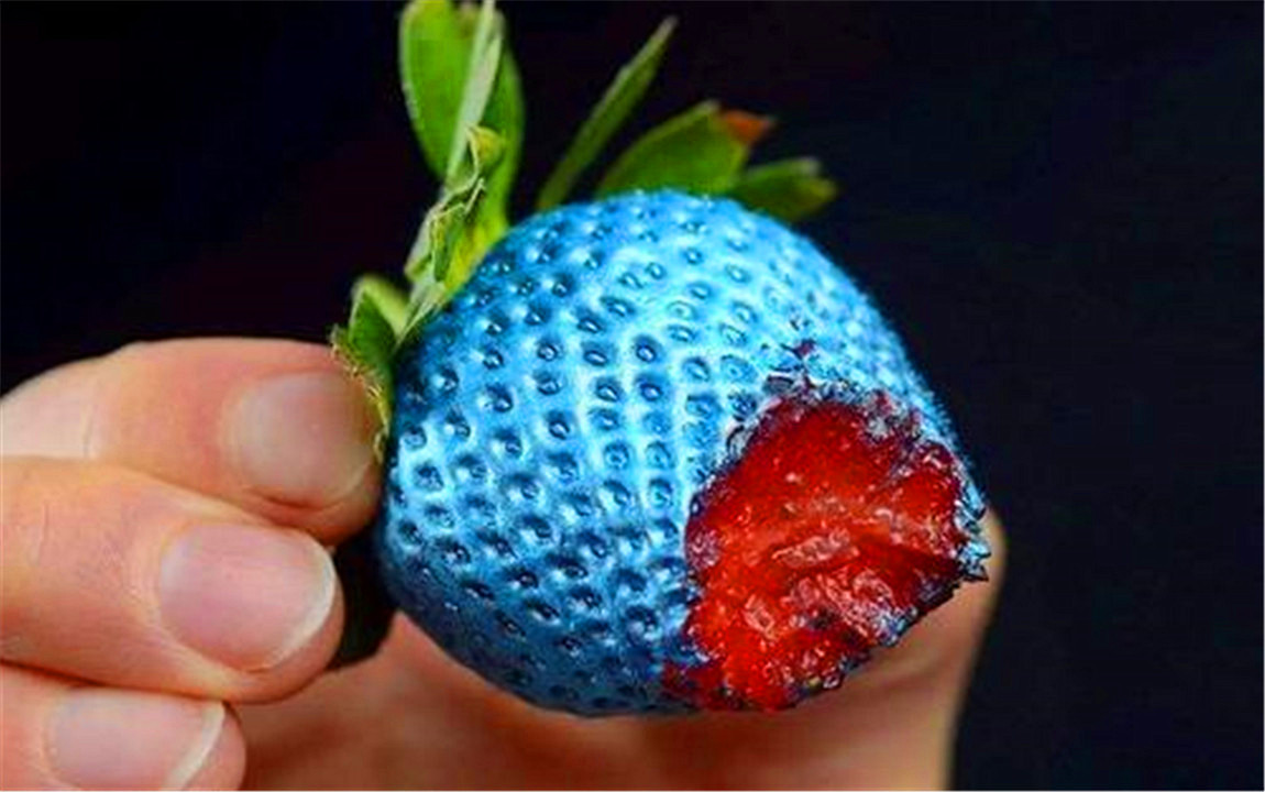 色盲与正常人眼中的世界的区别,色盲和普通人眼中的世界对比