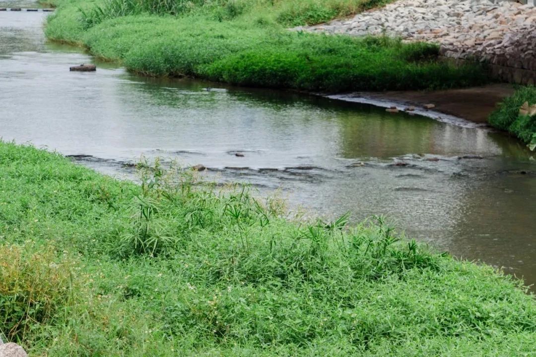 深圳地铁7号线有什么好玩的,深圳地铁十四号线游玩攻略