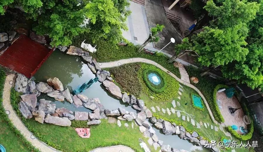 番禺执信学校排名,番禺执信中学招生热线