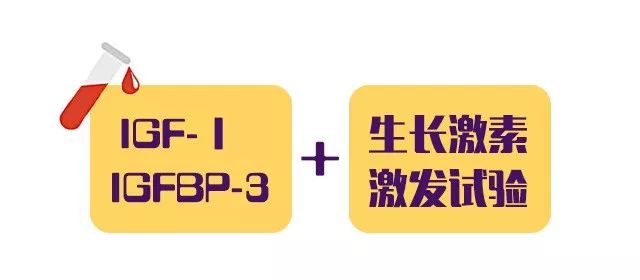 生长因子igf-1正常值,生长因子igf-2