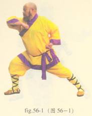 少林心意门拳视频教程,少林长护心意拳图解