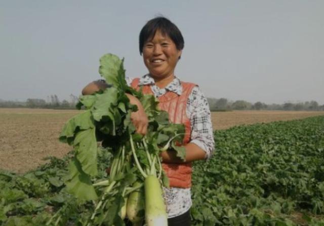 杭州59岁大妈,坚持喝蒲公英水来消散结节,后来身体怎么样了?