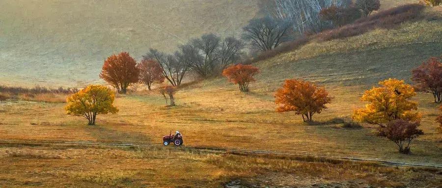 春季为什么易发精神疾病,季节性抑郁症的原因有几种