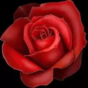 520情人节祝福送上真的太美了,最新的520情人节