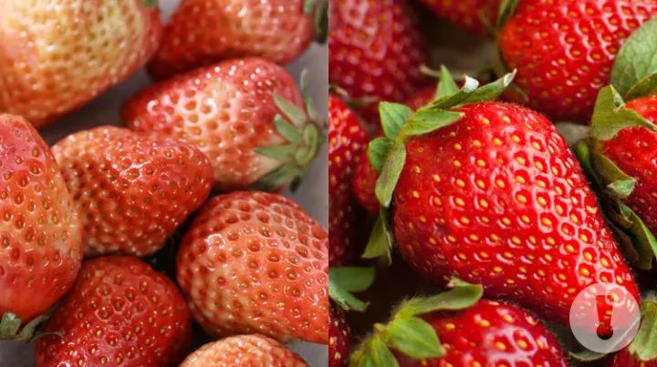 小孩吃了草莓吐了该怎么办,孩子吃完草莓呕吐肚子疼怎么办