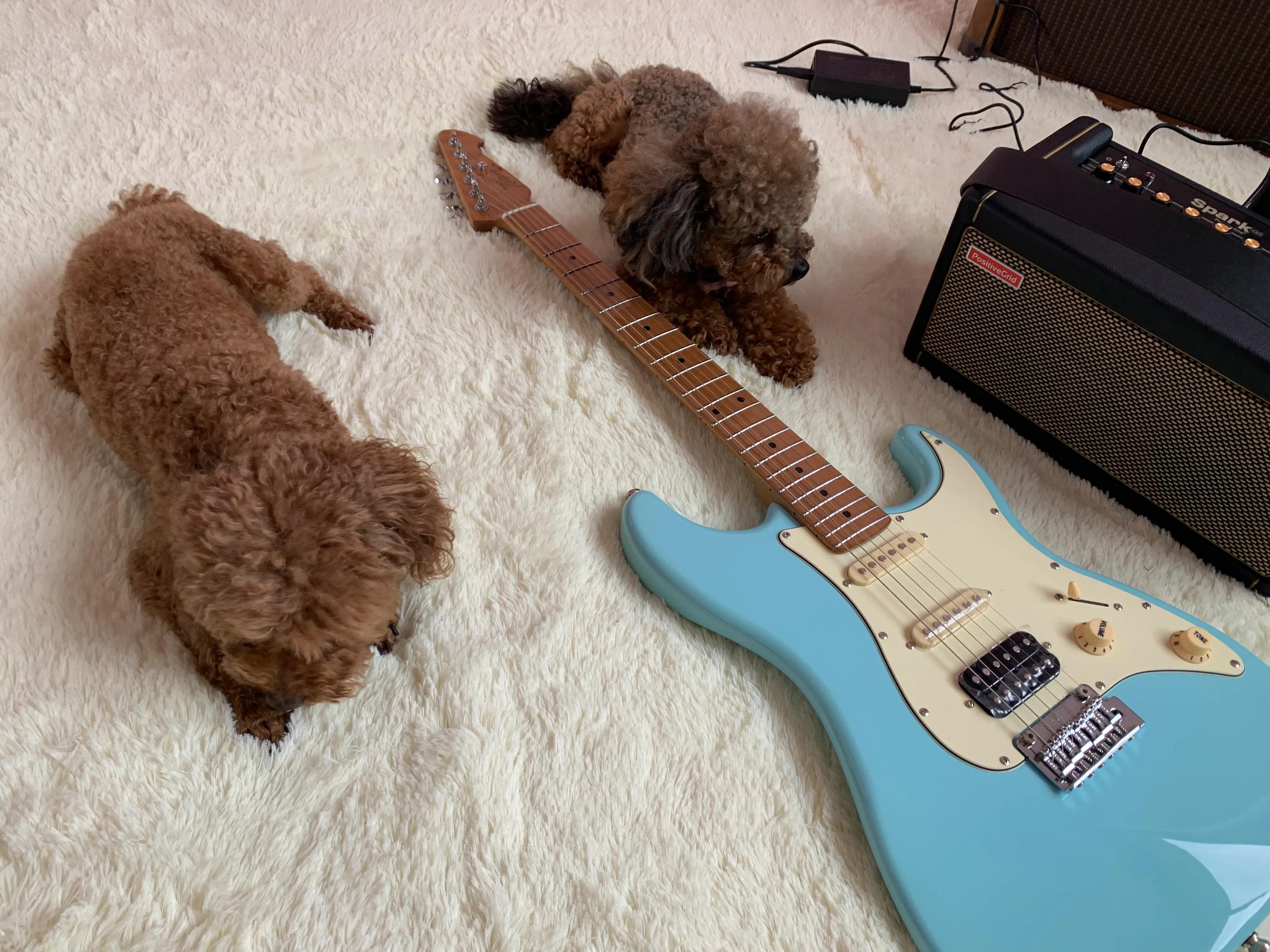 那些年我买过的没用的奢侈品,那些年我买过的表