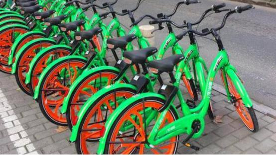 富二代被害得家破人亡后回来报仇,富二代破产爸妈被抓