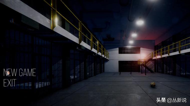 小罗在监狱里的足球,小罗监狱足球赛5球6助攻