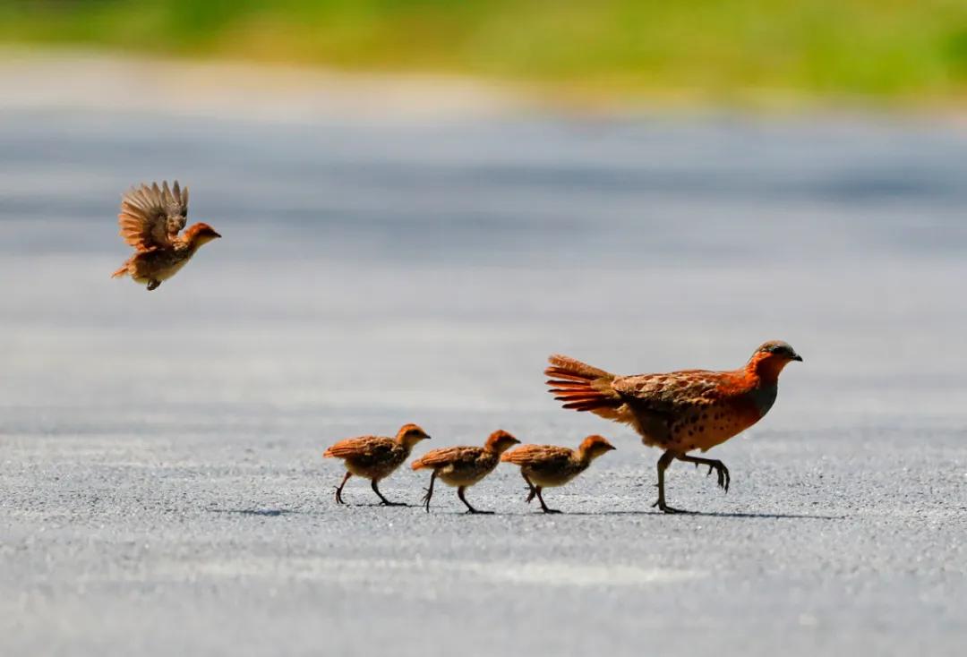 香港第14届全国摄影艺术展,第29届全国摄影艺术展览获奖名单