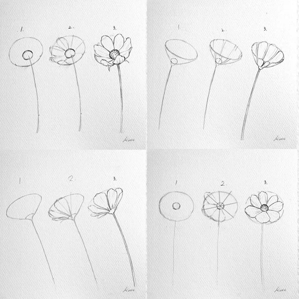 一分钟教你简单画花,简单的花卉图教程