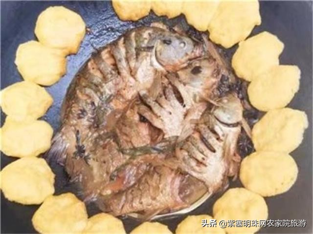 梨木台景林农家院,梨木台景林农家院直播