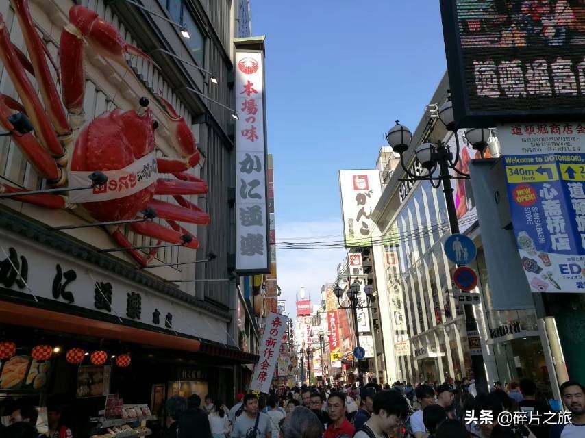 豪华游轮日本游旅游攻略,特价日本豪华游轮旅游攻略