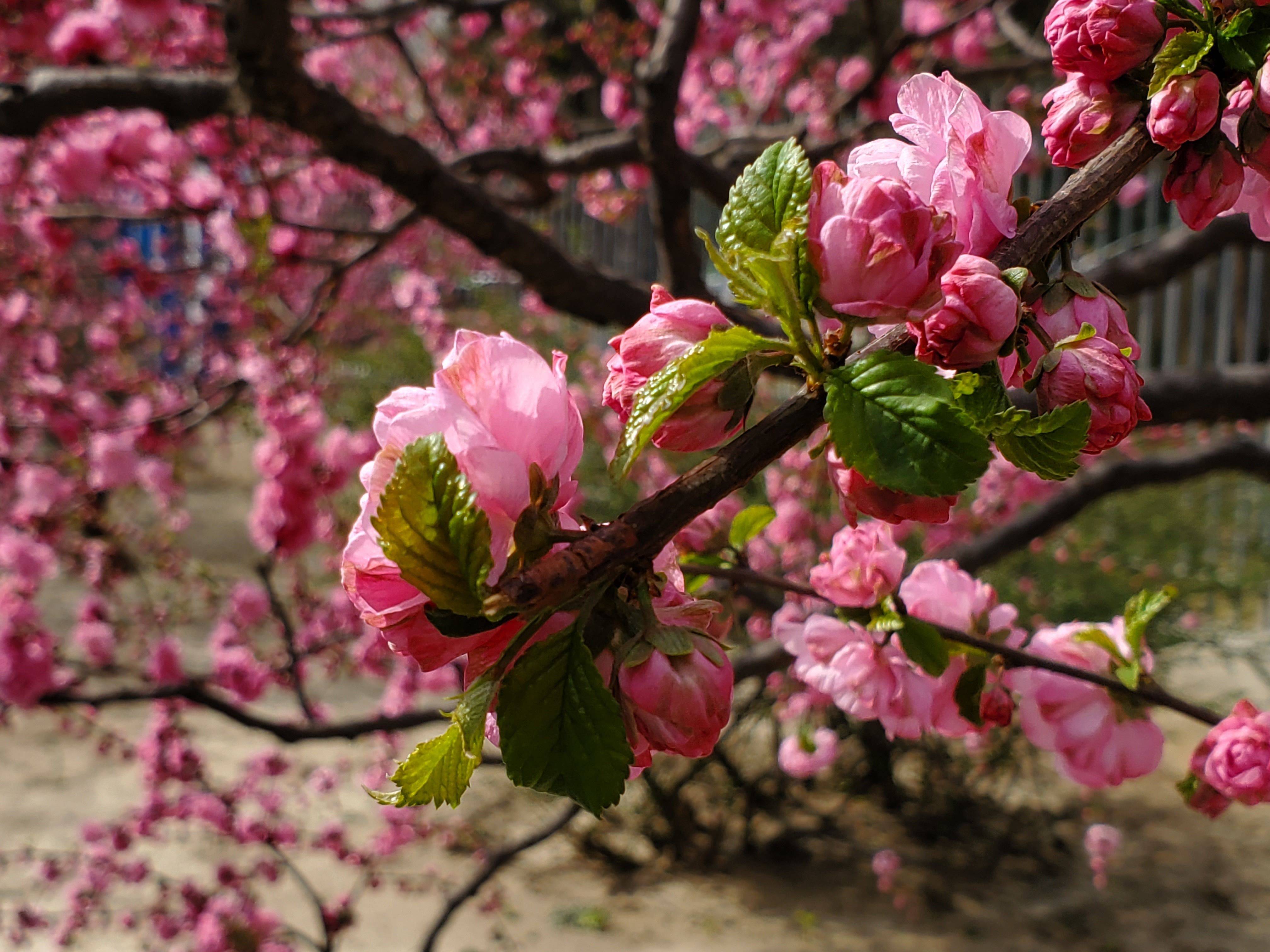 三星s21深度使用优缺点,三星s10+目前值得入手吗