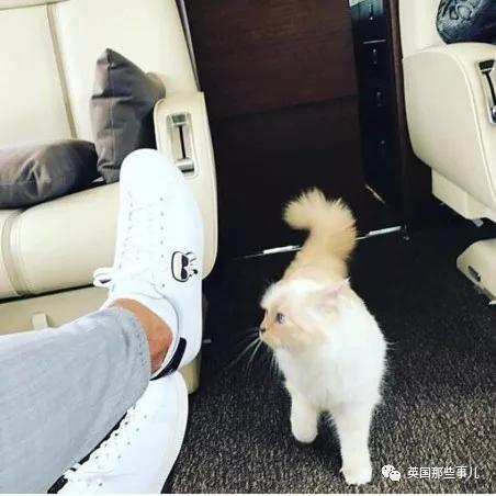 老佛爷的猫继承多少遗产,老佛爷去世后财产留给了一只猫