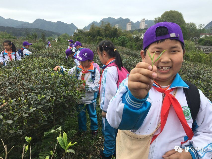 草长莺飞踏青季哪里好玩,草长莺飞春游