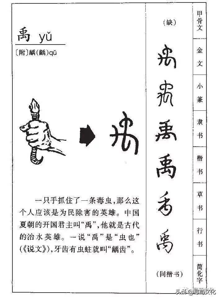 禹艺术字,荀汉字的艺术与中华姓氏文化