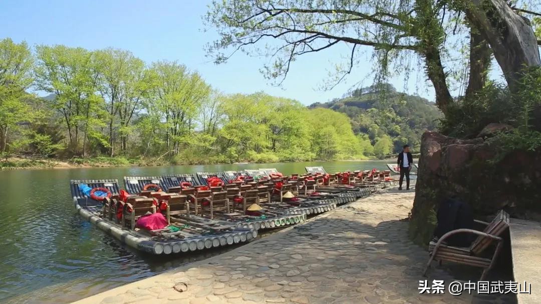 武夷山【总书记和我们在一起】陈佳：我把绿水青山的故事讲给总书记听