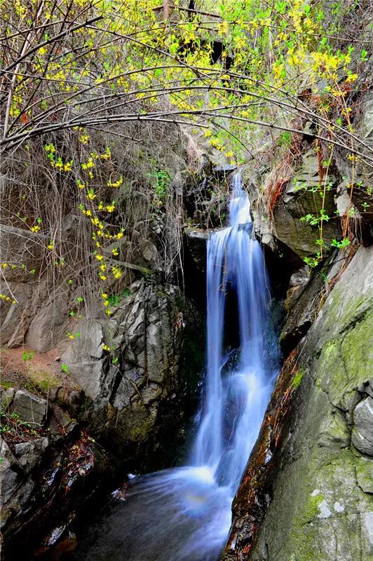 媲美四川九寨沟！山东这些地方野趣十足，承包夏天90%的清凉！