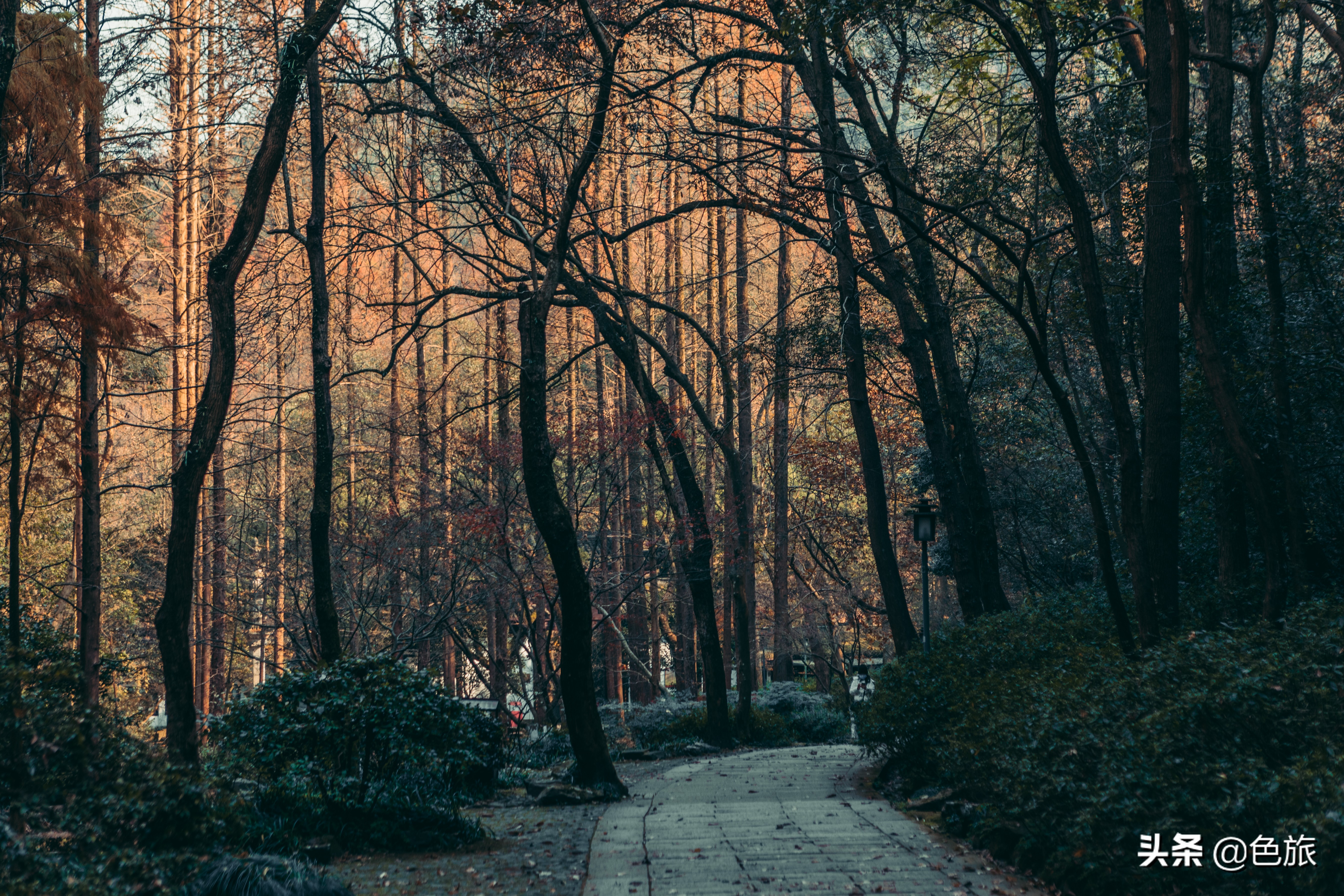 逆水寒游历虎跑梦泉怎么出葫芦,杭州游玩虎跑泉