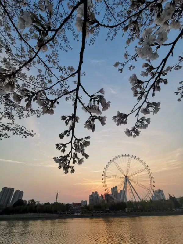 2022年世界手机摄影大赛征稿,手拍世界摄影网