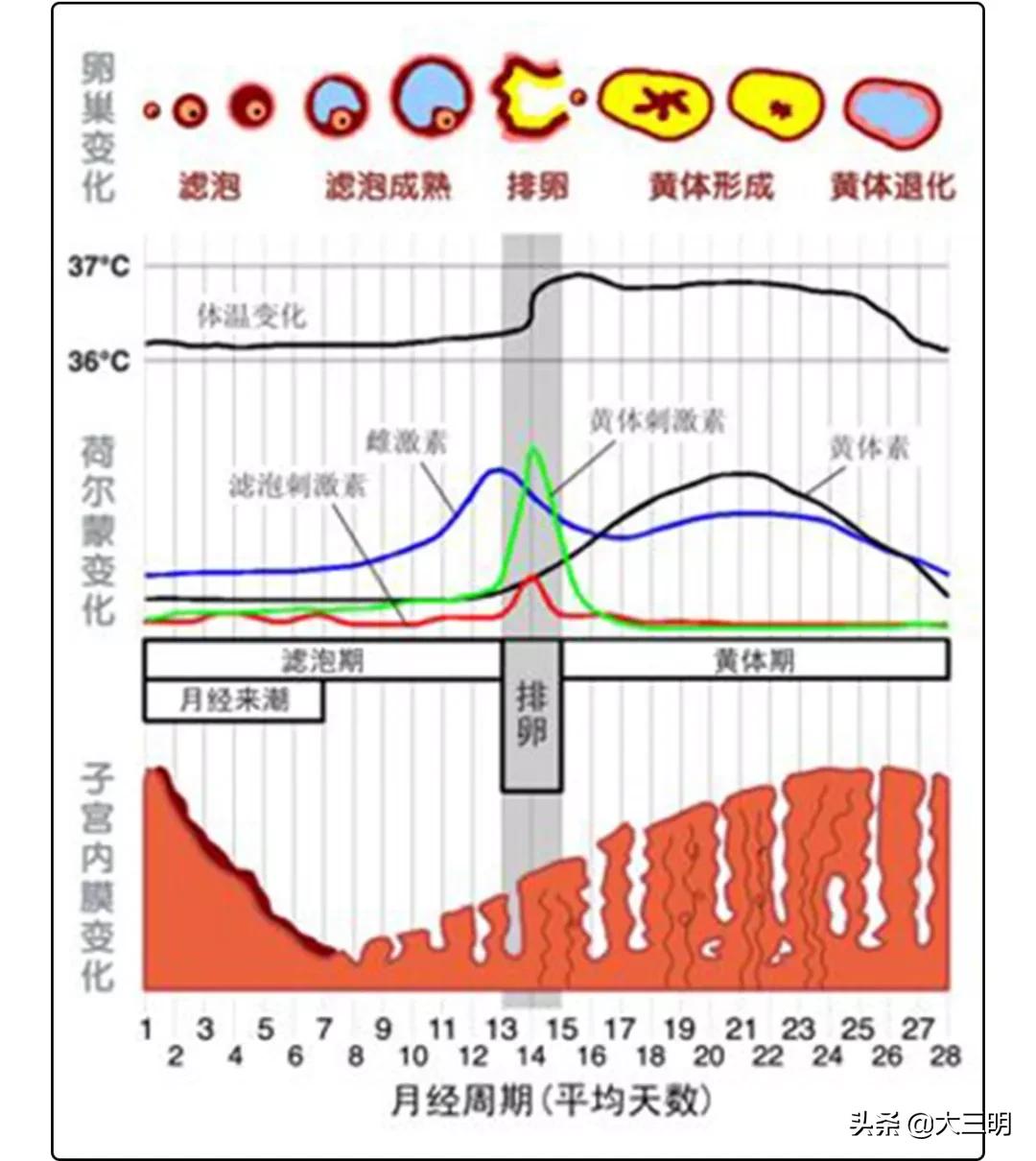 新买的内裤要不要洗一下再穿呢,新买的内裤第一次需要洗吗