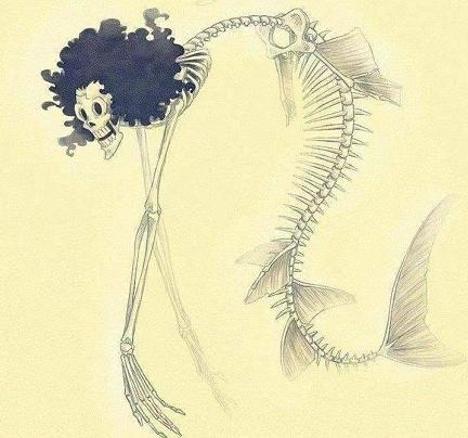 海贼王布鲁克初见娜美罗宾,娜美罗宾布鲁克变小