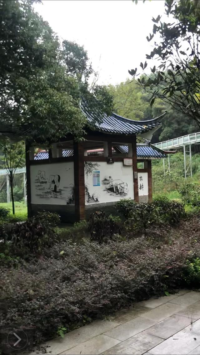 狮子峰景区一日游南昌,梅岭狮子峰一日一晚游