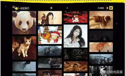 不会做表情包怎么赚钱详细步骤,表情包可以赚钱的项目