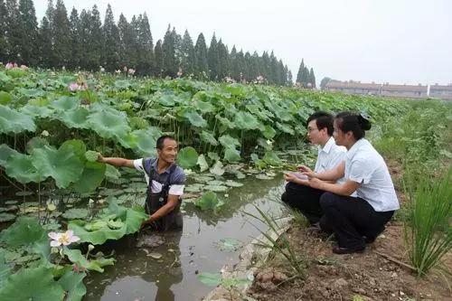 十个创业九个死的原因到底是什么,十个创业九个死哪些行业是重灾区